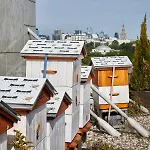 Regent Warszawa